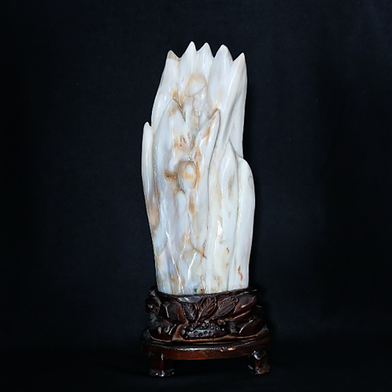 Gỗ hóa thạch 3.5kg
