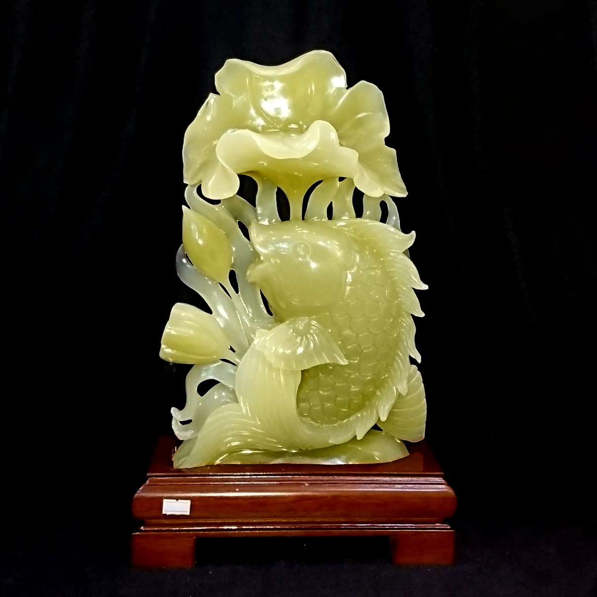 Liên ngư