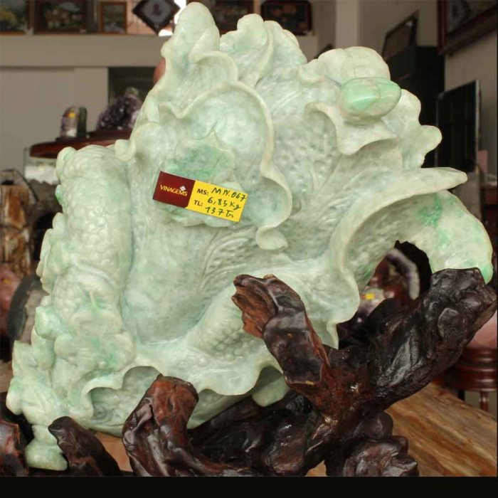 Bắp cải phong thủy