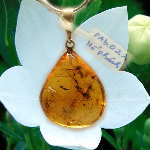 Hổ Phách